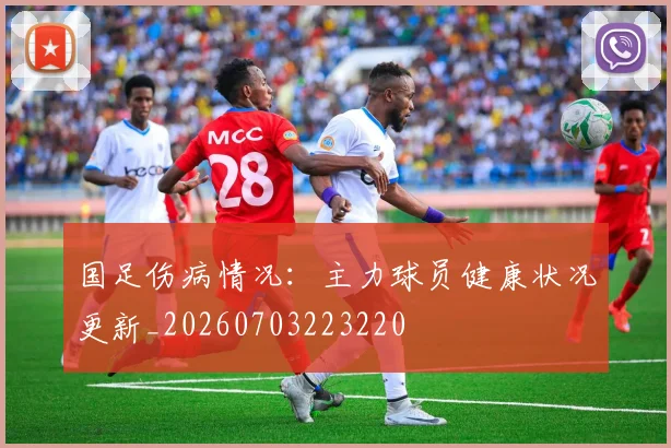 国足伤病情况：主力球员健康状况更新_20260703223220
